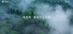 <strong>发过程采用代码审计东西取平安编码规范</strong>